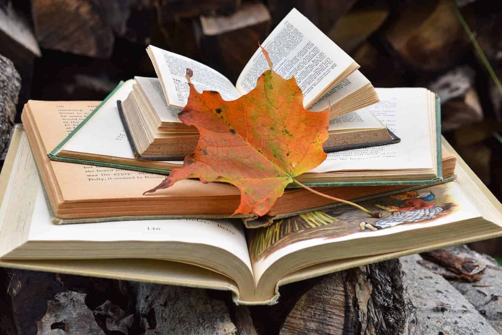 books-to-add-to-you-reading-list